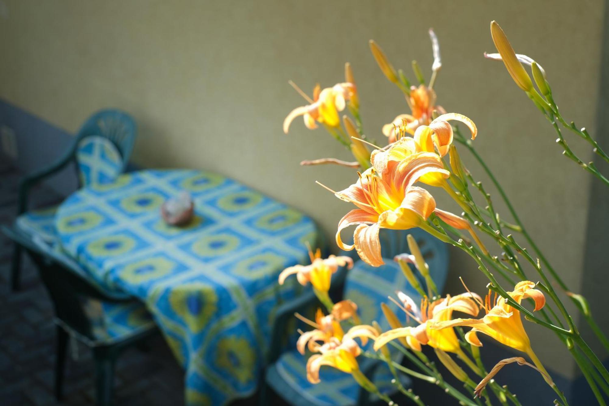 Panorama Apartmanhaz Sarvar Exterior photo