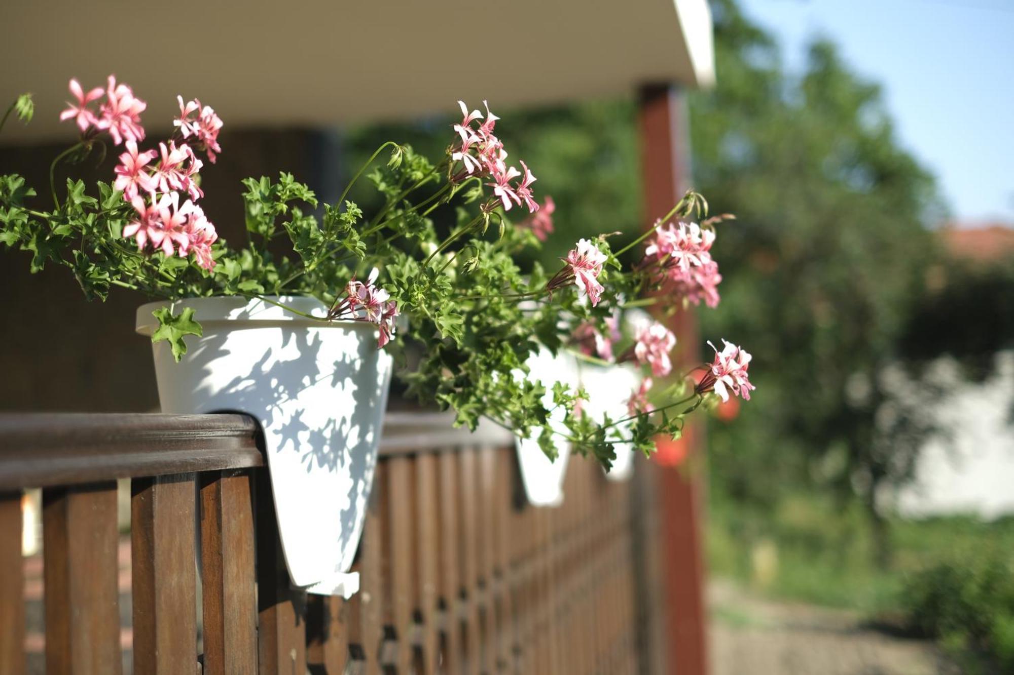 Panorama Apartmanhaz Sarvar Exterior photo